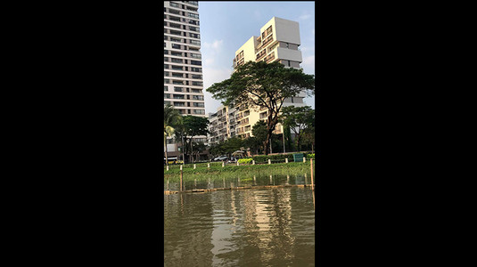 CÙ LAO XANH GIỮA THÀNH PHỐ 🚤