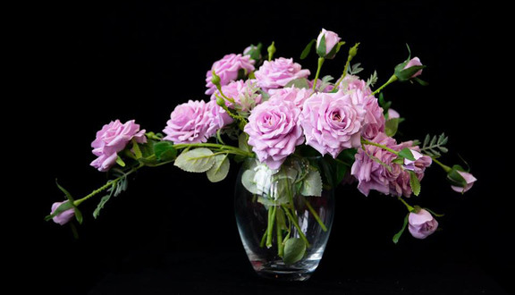 Elly Decor - Hoa Lụa Cao Cấp