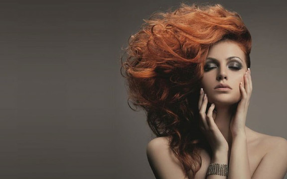 Hớt Tóc Quế Ly - Trần Văn Đang