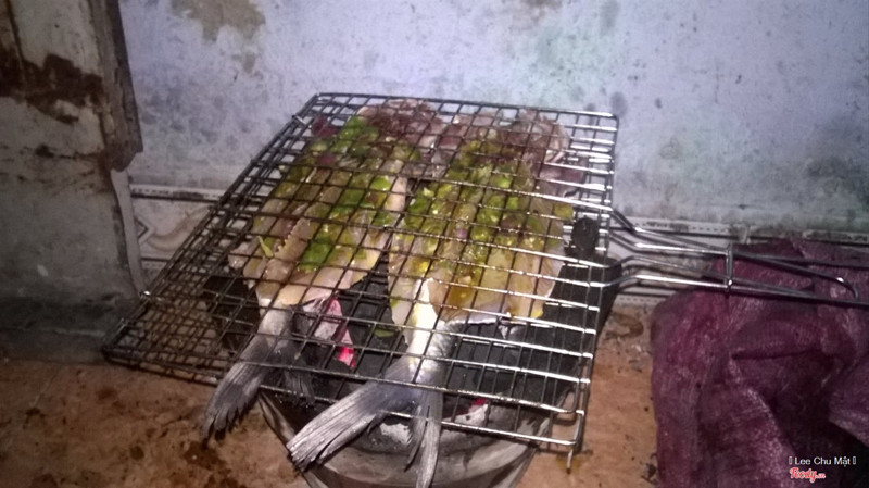 Cá chuồn nướng