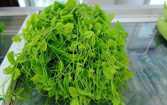 Rau Sạch Đại Ngàn