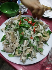 gỏi gà xé