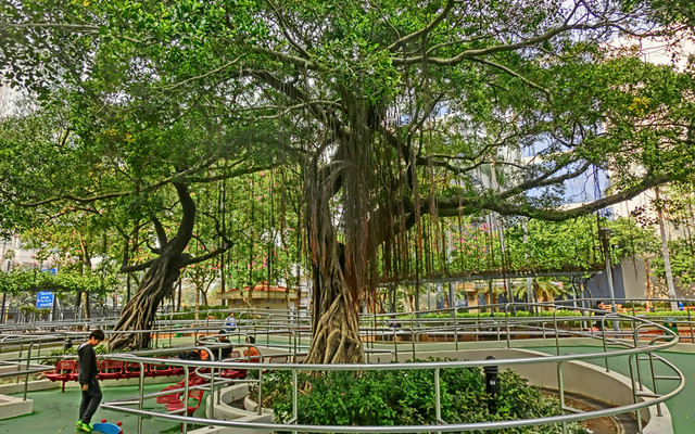 Saigon Street Playground