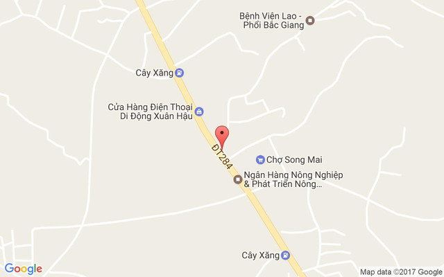 Cơm Huỳnh Lý