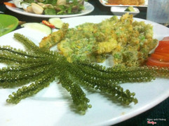 Nho biển chiên xù