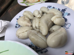 Trứng mực hấp