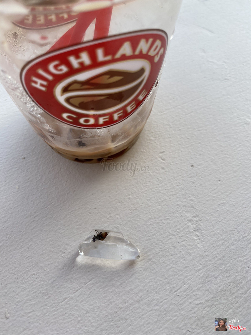 may là viên đá này không tan hết lúc mình đang uống