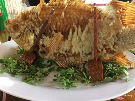 Cá tai tượng chiên xù