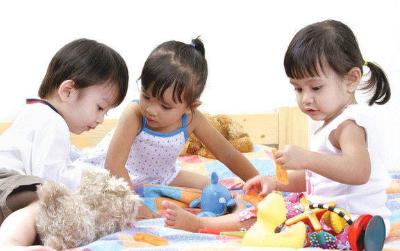 Mầm Non Lá Phong Đỏ
