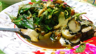 Ốc voi xào lá quế 