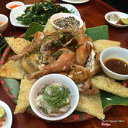 gà không lối thoát