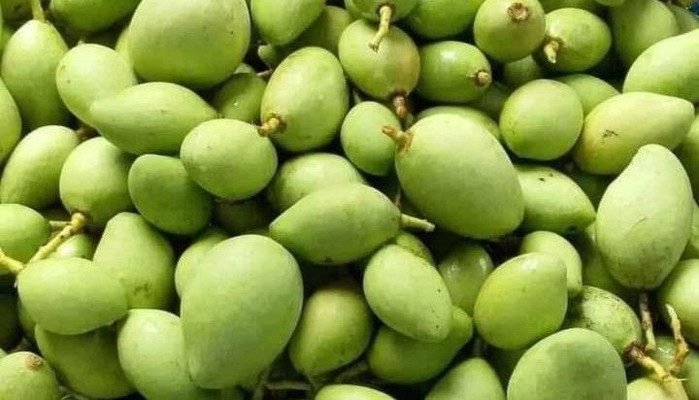 Shop Xoài Chua - Trái Cây Tươi