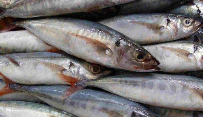 Đặc Sản Vùng Miền - Thực Phẩm Tươi Ngon - Cách Mạng Tháng Tám