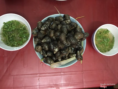 Ốc luộc