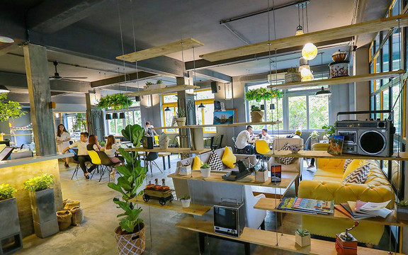 The Local Coffee - Ngô Đức Kế