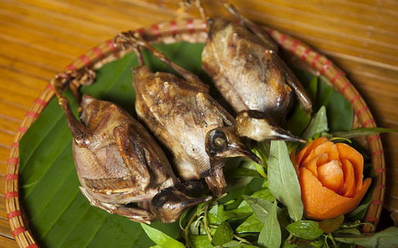 Đại Hải - Đặc Sản Chim Trời