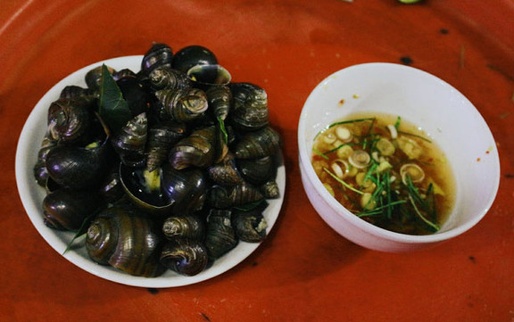 Wifi 632 - Ốc Các Loại