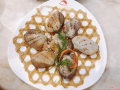 Sò tộ