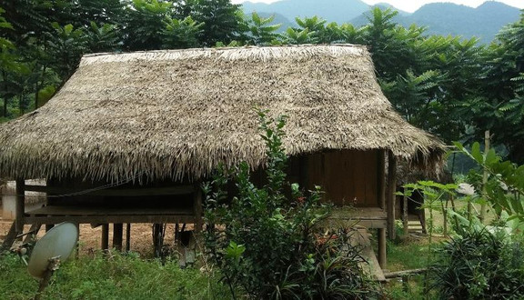 Lý Vân Homestay