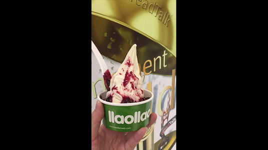 llaollao Natural Frozen Yogurt - TTTM Takashimaya