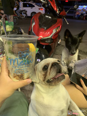 Milo dầm với tấm cám ngon bá cháy 