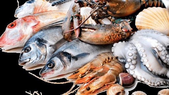 Hải Sản Sạch 47 - Phan Anh