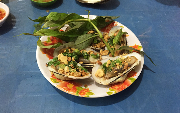 Ốc Đêm - Đất Thánh