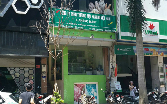 Hanaro Mart