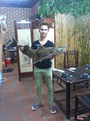 Cá chiên 18Kg tại Ngư Quán