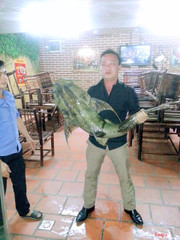 Cá chiên khủng 20kg tại Ngư Quán