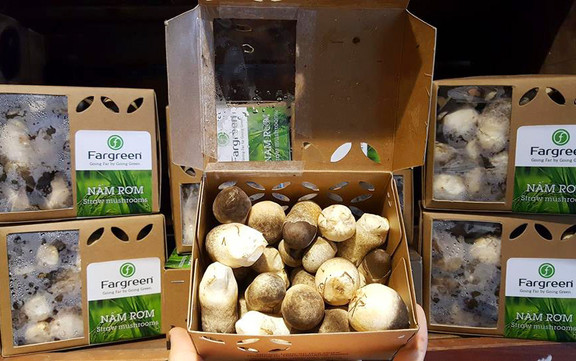 V Organic - Thực Phẩm Hữu Cơ