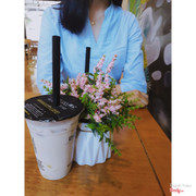 Mình uống Ts thạch pudding 2/3 đường 2/3 đá. Nói chuq là bao ngon k còn gì để chê :))