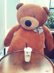 Anh ấy giờ đã như cướp biển caribe