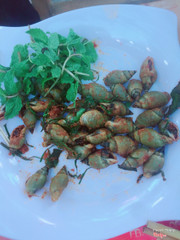 Ốc cà na rang muối ớt