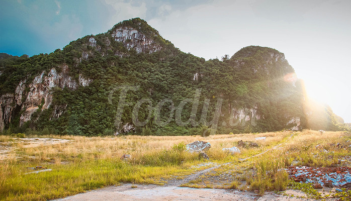 Bãi Cỏ Cháy