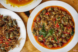 Ốc Hương xã ớt ( 60k)