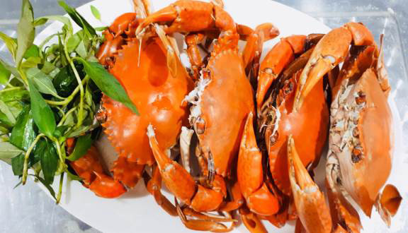 Cua Cà Mau - Phan Cát Tựu