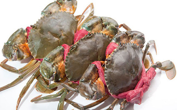 Cửa Hàng Cua Cà Mau