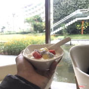 Sữa chua hoa quả