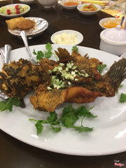 cá chiên giòn chấm xì dầu