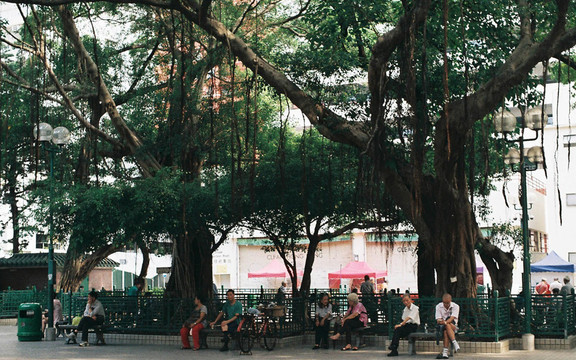 Yau Ma Tei Community Centre Rest Garden