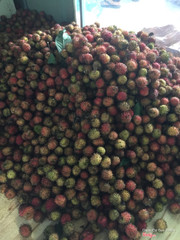 Chôm chôm nhãn sạch ngon, giá 35k/kg, 10kg trở lên miễn phí ship, trong phạm vi 5km