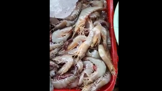 Món Ngon Phú Quốc - Đặc Sản Ba Miền