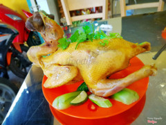 Gà hấp Thượng Hải