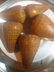 Hom nay quan oc thuy Le tu tai co mon oc moi . Moi cac ban toi ung ho nhe 