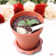 Kem chậu cây_sự kết hợp hoàn hảo của bánh oreo với kem tươi tạo nên hương vị đặc biệt 