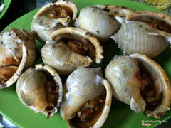 Ốc nướng muối ớt