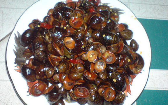 Khánh Vy - Hải Sản 