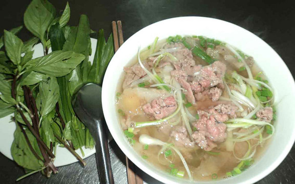 Cây Sung - Phở Bình Dân