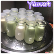 Sữa chua truyền thống và matcha 